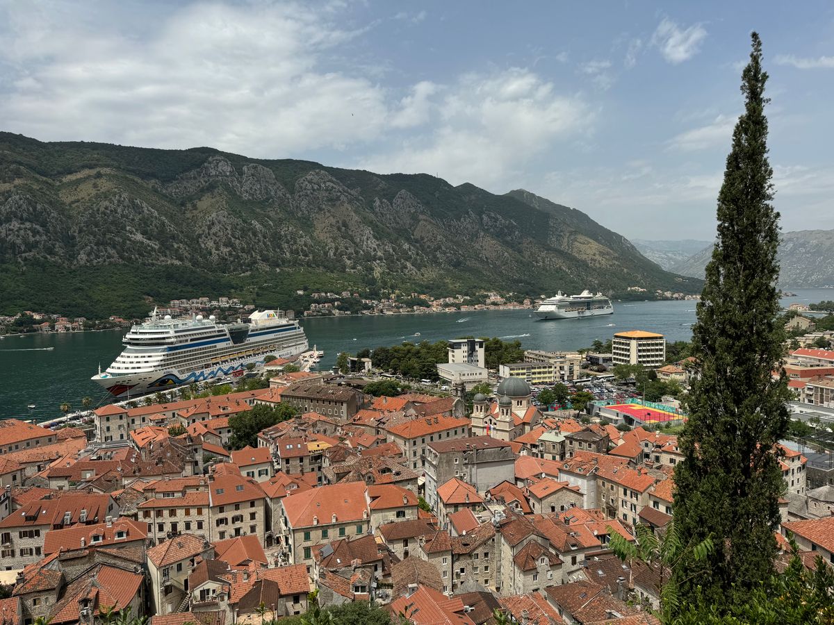 Kotor