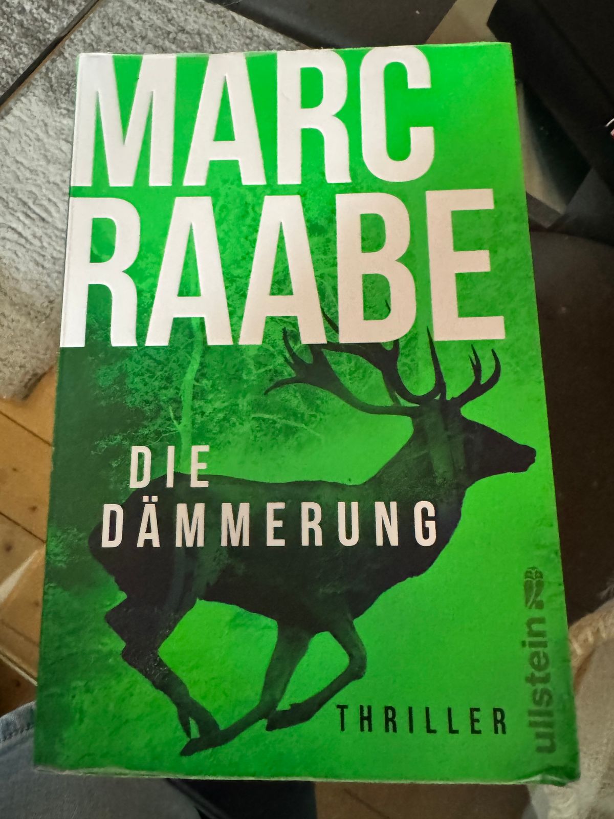 Die Dämmerung - Marc Raabe