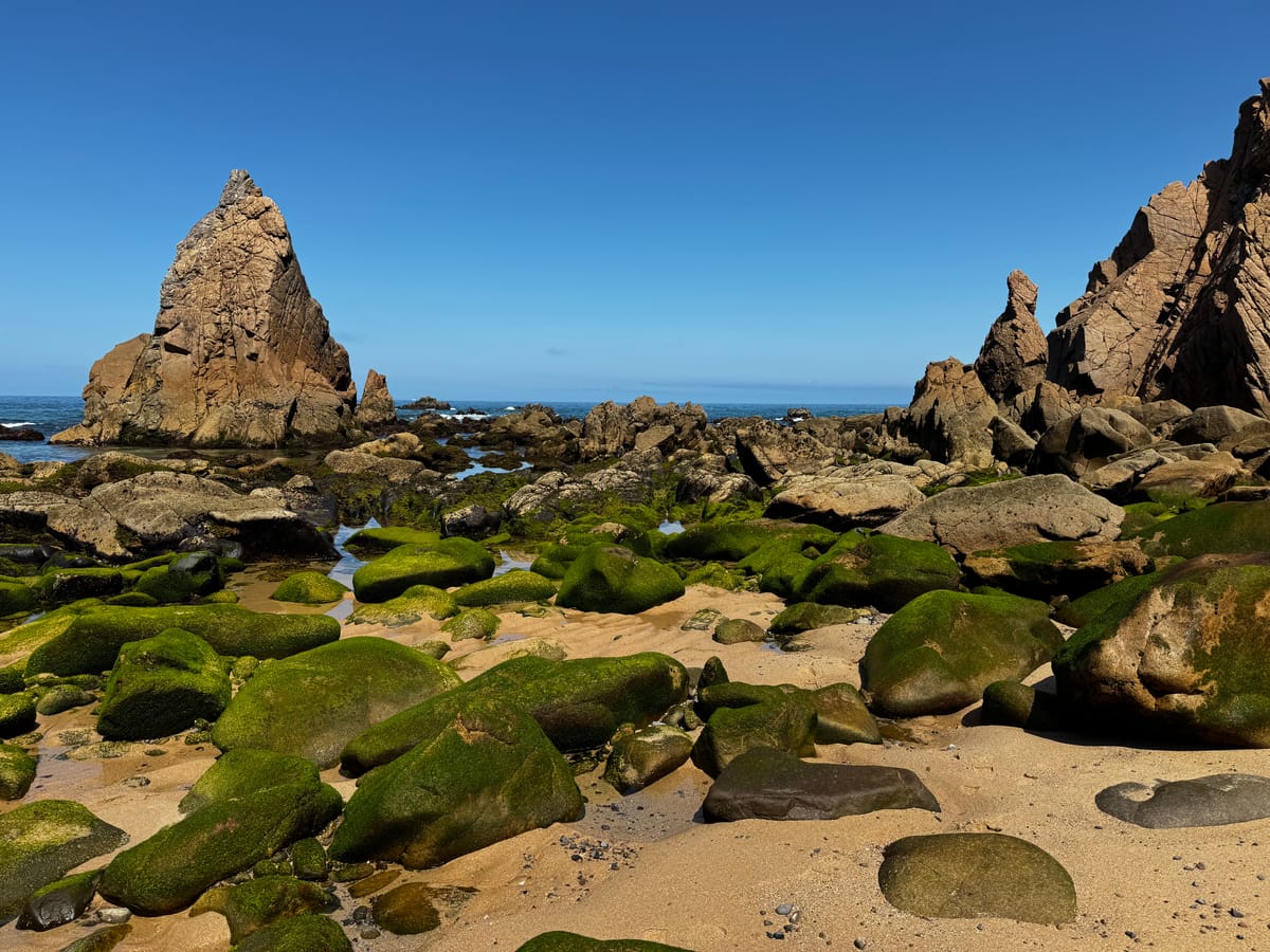 Die letzte Bucht am Ende der Welt