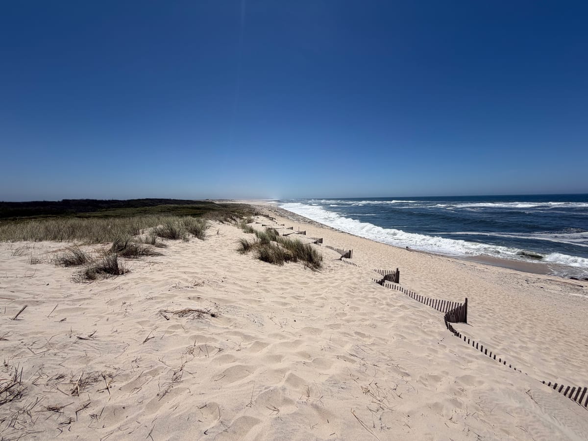 Ein Tag in Aveiro: Kanäle, ein Leuchtturm und kilometerlange Strände