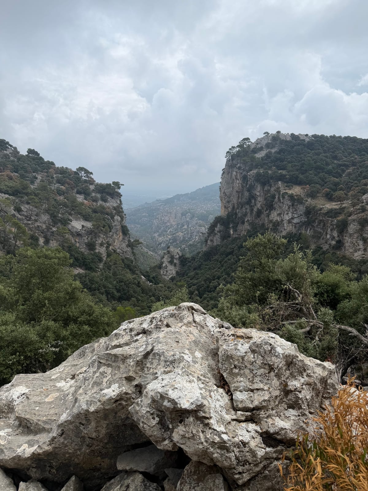 Mallorca Tag 2: Einmal rund um den Tossals Verds