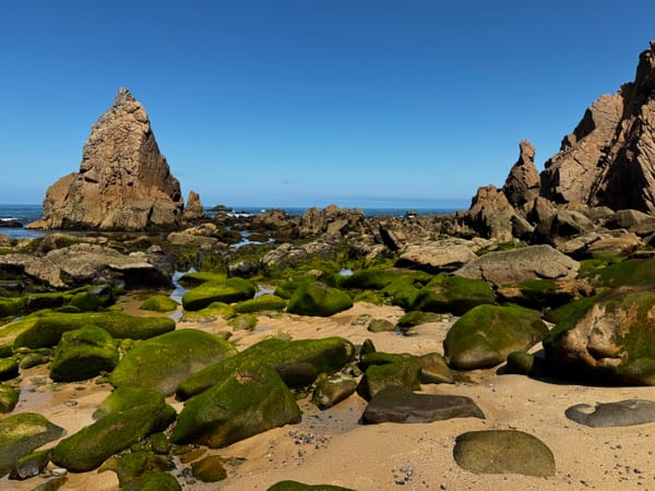 Die letzte Bucht am Ende der Welt