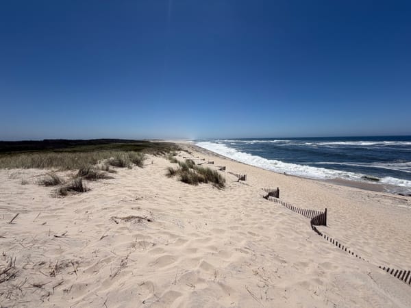 Ein Tag in Aveiro: Kanäle, ein Leuchtturm und kilometerlange Strände