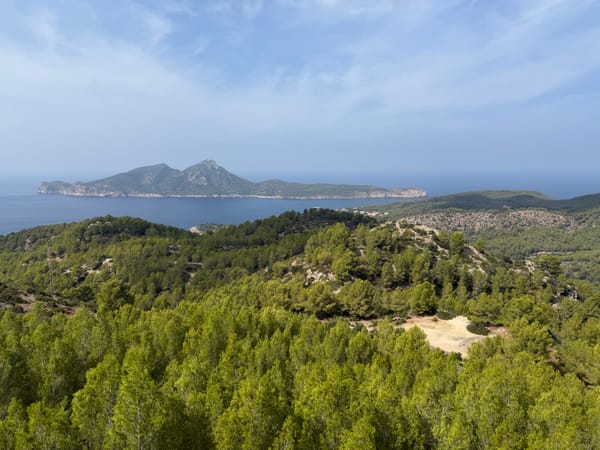 Mallorca Tag 5: Mit dem Boot hin, zu Fuß zurück: Von Port d'Andratx nach Sant Elm auf dem GR 221